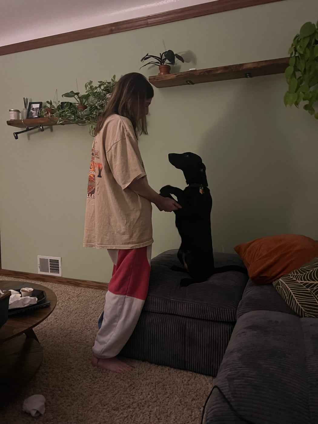 Carly greeting a black dog standing on the couch