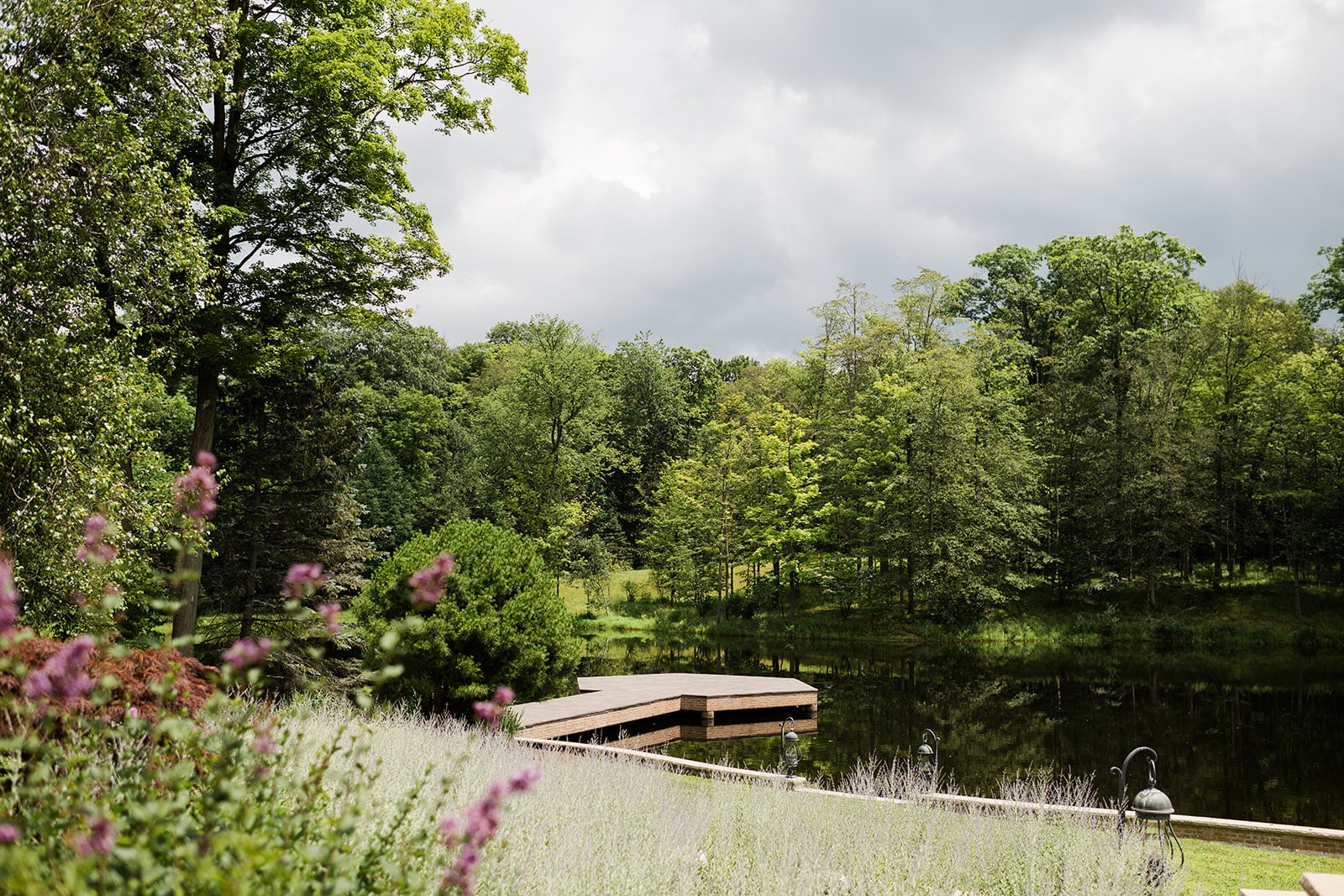 The pond dock seen through wildflowers and trees